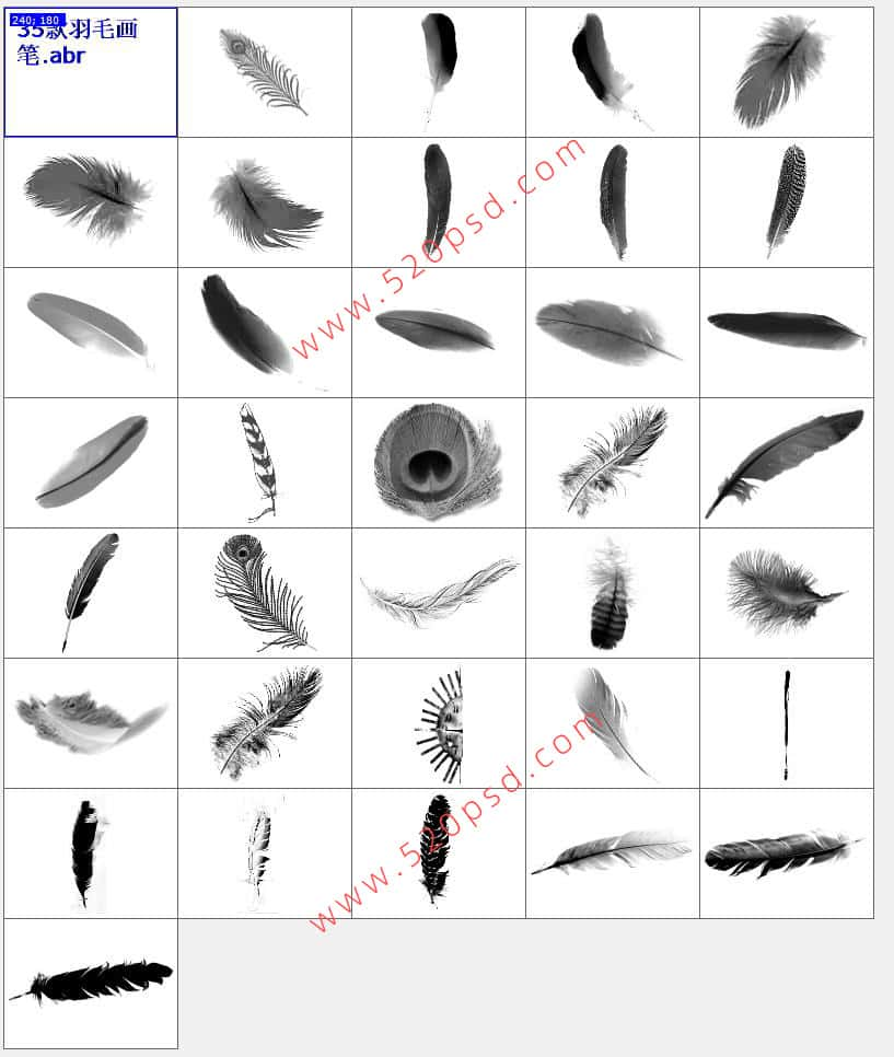 35款ps毛发画笔翅膀羽毛