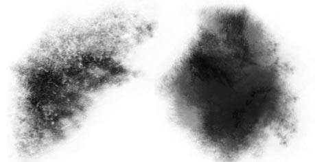 Photoshop完美换脸术：分步指南