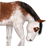 3bb67w8zeu.jpg