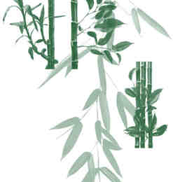 b8afgbd027.jpg
