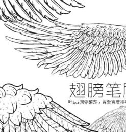 y9x62qhnk8.jpg