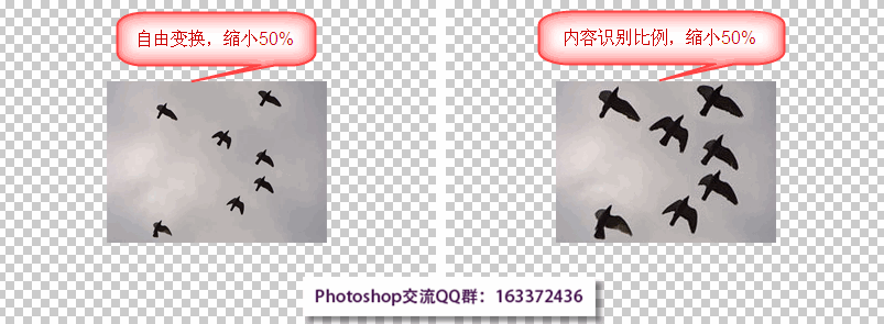 PS内容识别比例