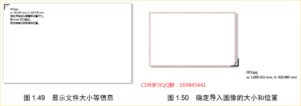 coreldraw导入jpg图片