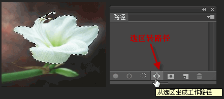 从选区生成工作路径
