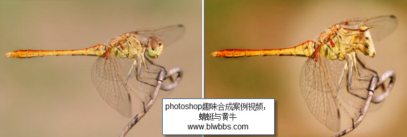ps合成教程
