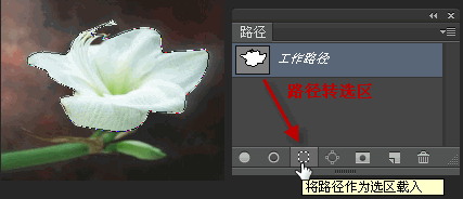 钢笔工具的使用