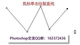 钢笔工具绘制直线
