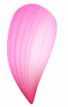 Illustrator教程