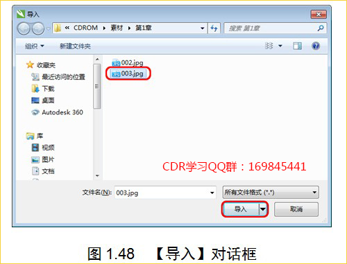 coreldraw导入图片